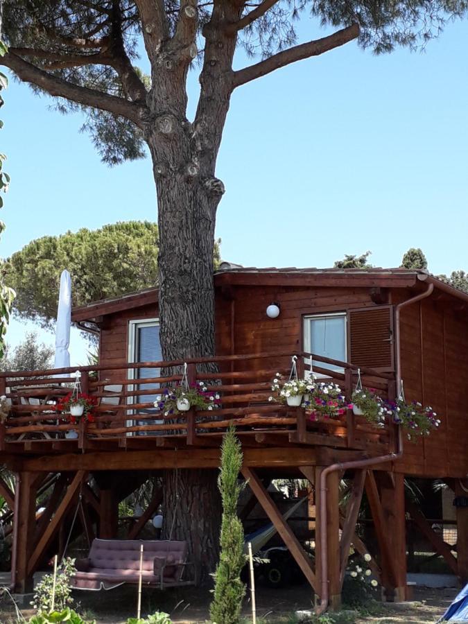 Il Vivaio Villa Tarquinia Eksteriør billede