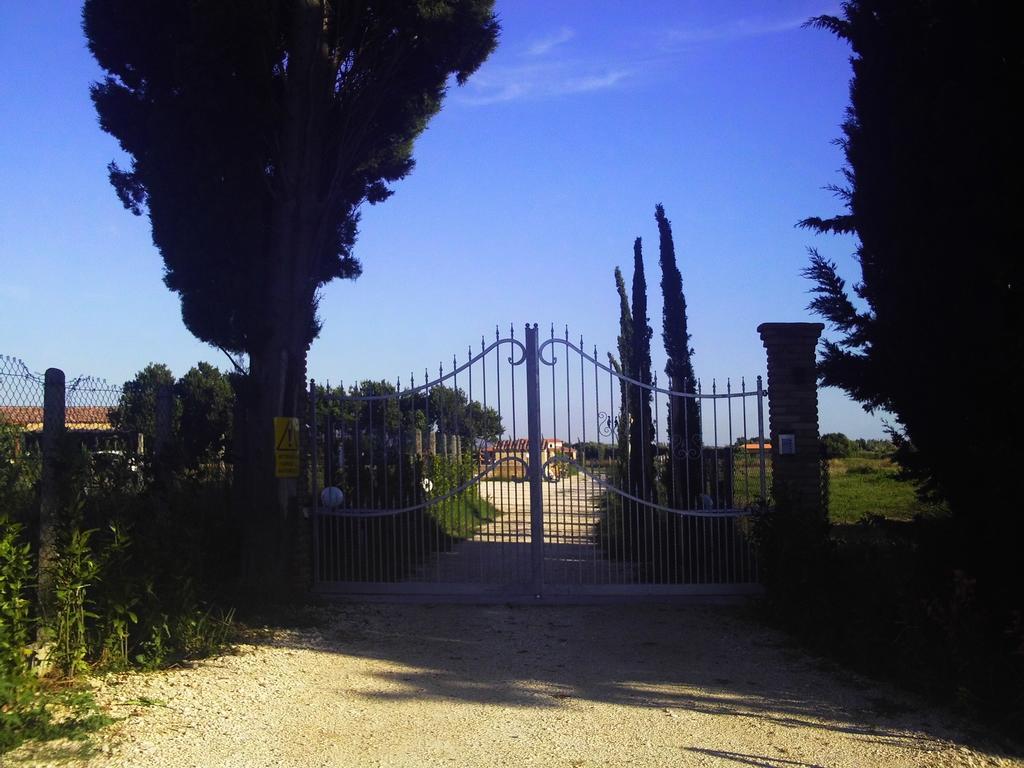 Il Vivaio Villa Tarquinia Værelse billede