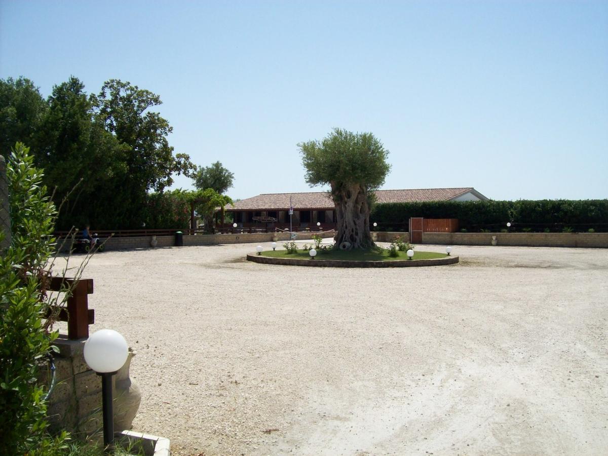 Il Vivaio Villa Tarquinia Eksteriør billede
